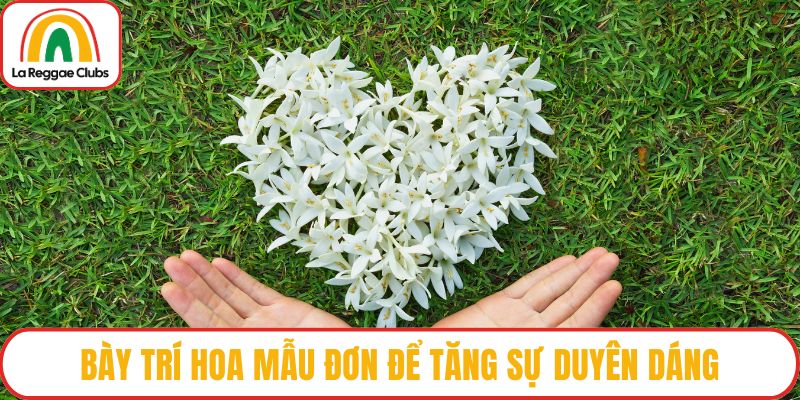 Bày trí hoa mẫu đơn để tăng sự duyên dáng