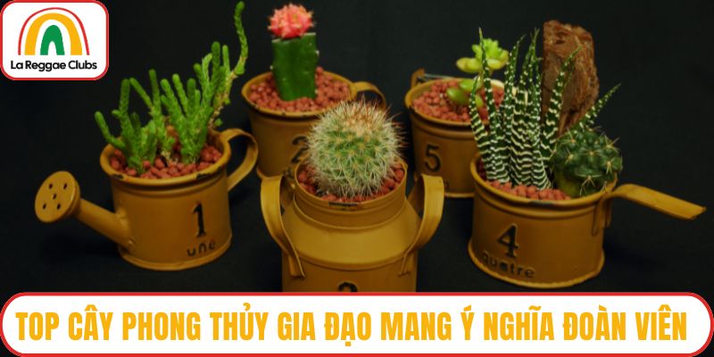 Cây phong thủy gia đạo