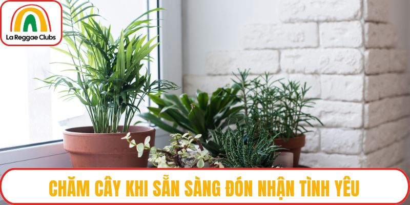 Chăm cây khi sẵn sàng đón nhận tình yêu
