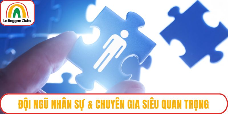 Đội ngũ nhân sự & chuyên gia siêu quan trọng