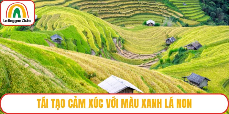 Tái tạo cảm xúc với màu xanh lá non